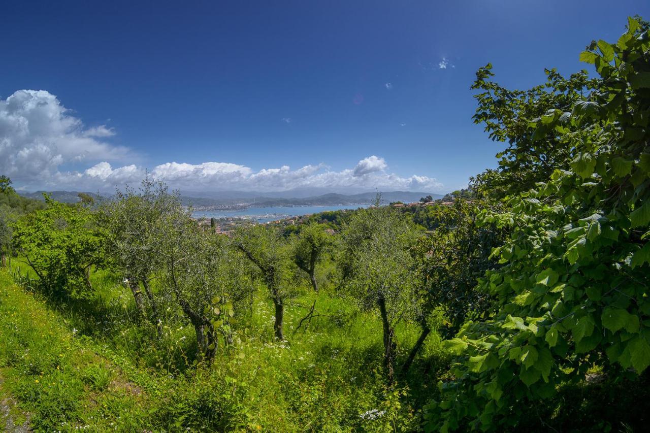 Gli Ulivi Sul Golfo E Le 5 Terre La Spezia Exterior foto