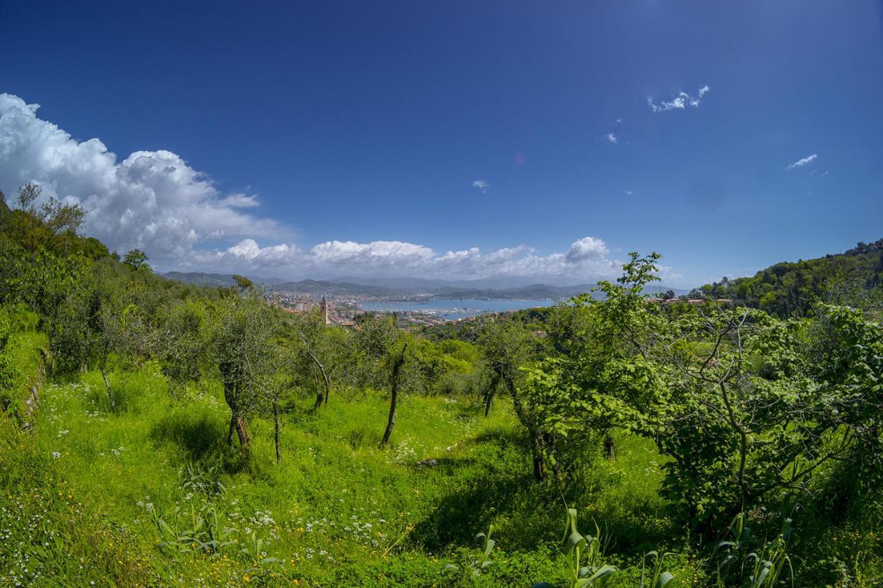 Gli Ulivi Sul Golfo E Le 5 Terre La Spezia Exterior foto